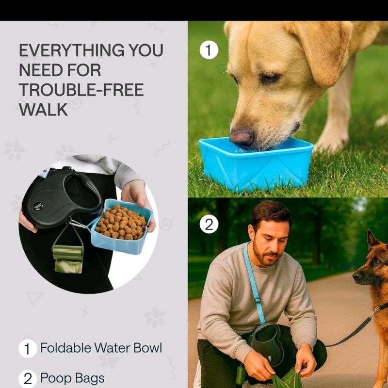 Dog1