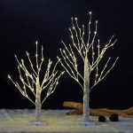 2birch2