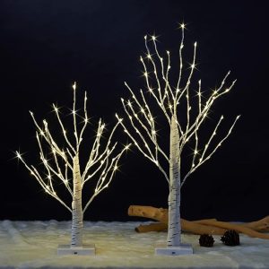 2birch2