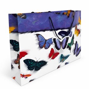 Bag1