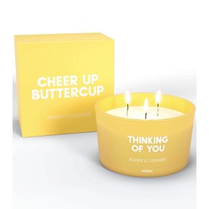 Cheer1