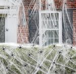 Spider1