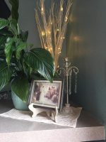 Willow4