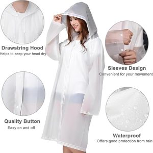 1a4bdaba 776d 4edd B3ce 800250961a85 Product 2967 1782754499175.jpg
