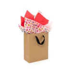 Tissue9