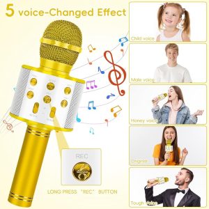 08634caf 4709 405a A1ea 3ec762ce4ef8 Wireless Bluetooth Karaoke Microphone Mic Speaker Player Rec 5 2.jpg