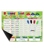 Magnetic Behavior Star Reward Chart - 17" x 13" - 4 magnetic dry erase markers - green DRC004 - Item #9283