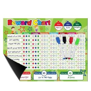 Magnetic Behavior Star Reward Chart - 17" x 13" - 4 magnetic dry erase markers - green DRC004 - Item #9283