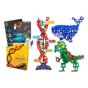 Secret of Life (256 pcs) Complete Set to Build Your Own DNA - Item #9345