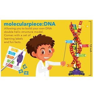 9f7e028d 4a87 4a91 A93b 5813ed860bab Secret Of Life 256 Pcs Complete Set To Build Your Own Dna It 7 2.jpg