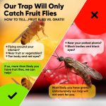 Ea0f219e B200 48be 80a7 9960b5968733 Fruit Fly Trap 5 4.jpg