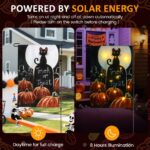 27bc7fec 9ccf 452c 8a5a 10891496fee6 solar garden flag with led lights 12x18 double sided trick t 6.jpg