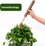 32fd80d2 aa6e 41ce 8a37 07286d87f183 eibikdi moss poles 6 pack trans plants to grow upward item 9 4 2.jpg
