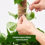 44eb3a4e 3e4c 417b 8adf fcaf0b59f435 eibikdi moss poles 6 pack trans plants to grow upward item 9 5 2.jpg