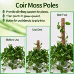 6f617d3b a4f9 4fda a4f0 77de1f460396 eibikdi moss poles 6 pack trans plants to grow upward item 9 2 2.jpg