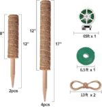 Dcf4308d c655 4e94 804b c83f012e9e09 eibikdi moss poles 6 pack trans plants to grow upward item 9 6 2.jpg