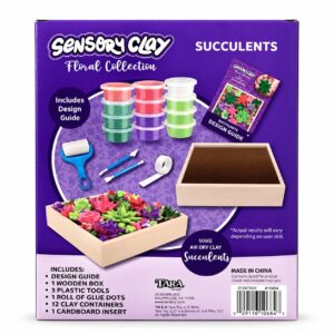 70eb3895 6791 4f91 9a67 01746928dab7 sensory clay floral collection succulents air dry item 9721 2.jpg