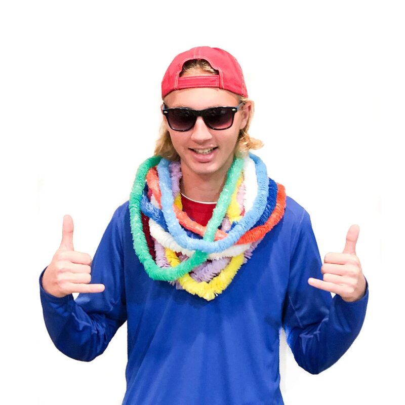 9d185233 138e 492a 8755 c0ae62dbe606 hawaiian leis tropical hawaiian leis for all ages assorted c 3.jpg